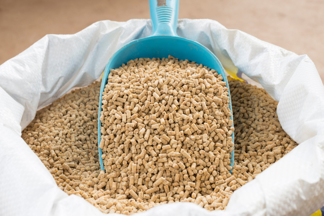 How feed extrusion helps increase efficiency