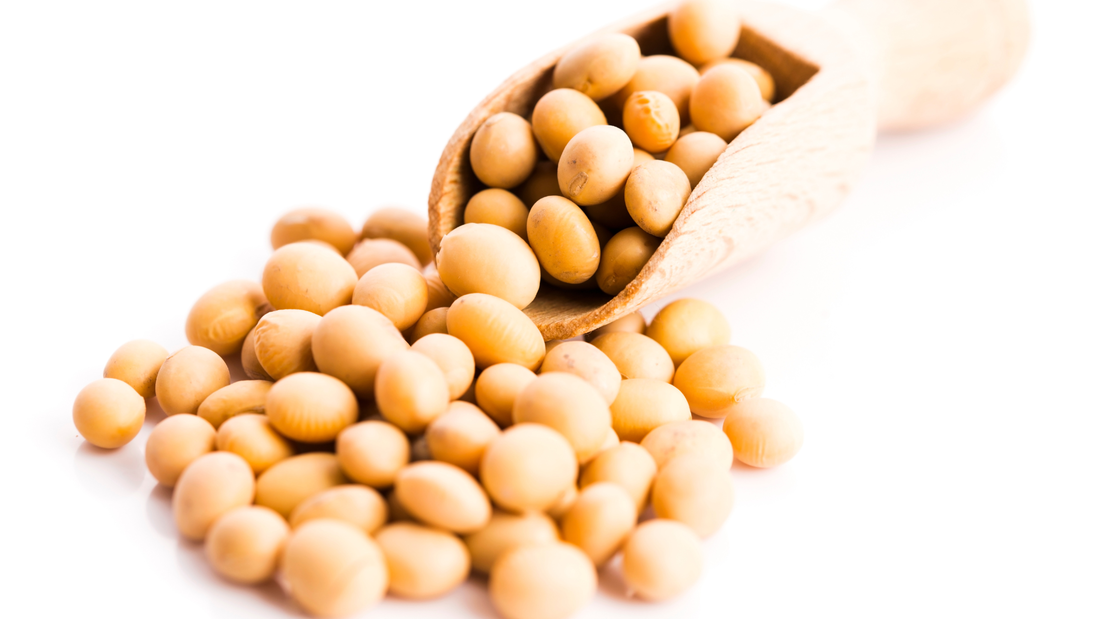 The power of twin-screw extrusion: Revolutionizing the world of soy protein